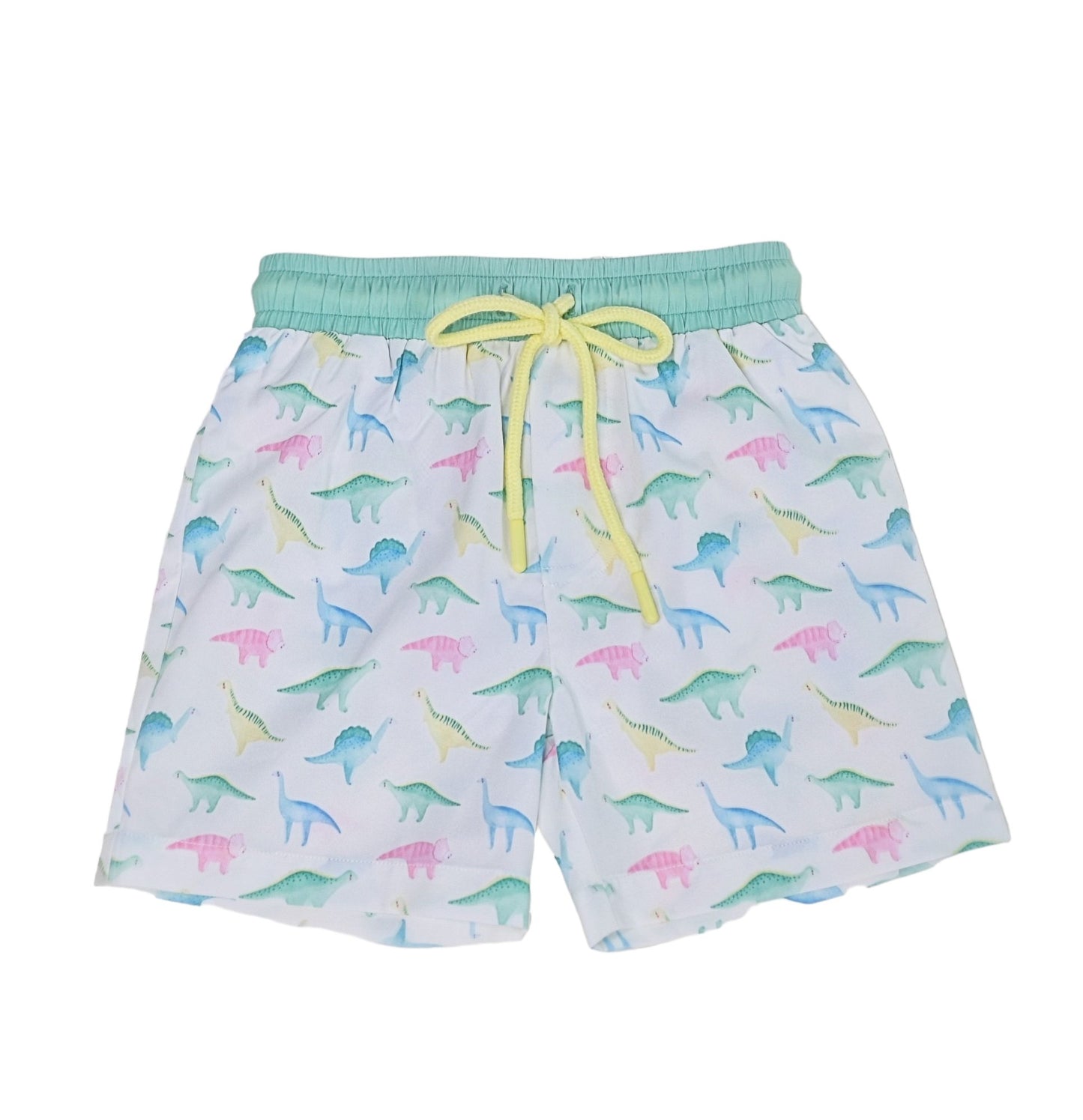 Swoon Baby Watercolor Dino Swim Shorts Style 23-59