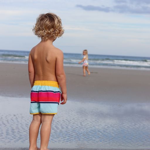 Blueberry Bay Byron Pines Trunks