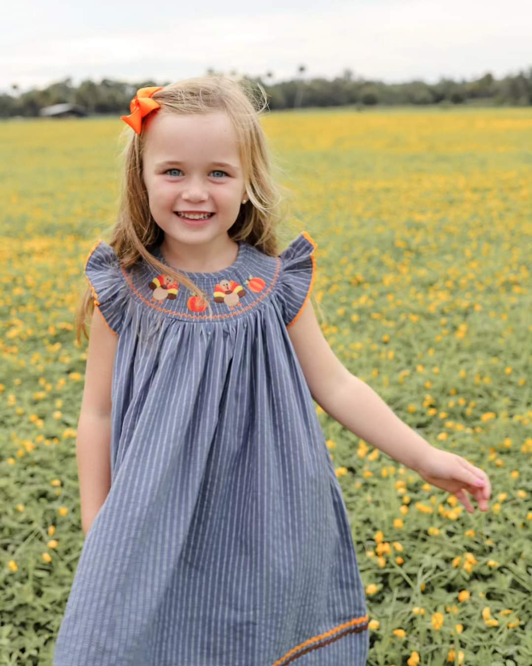 Lil cactus shop smocked dress