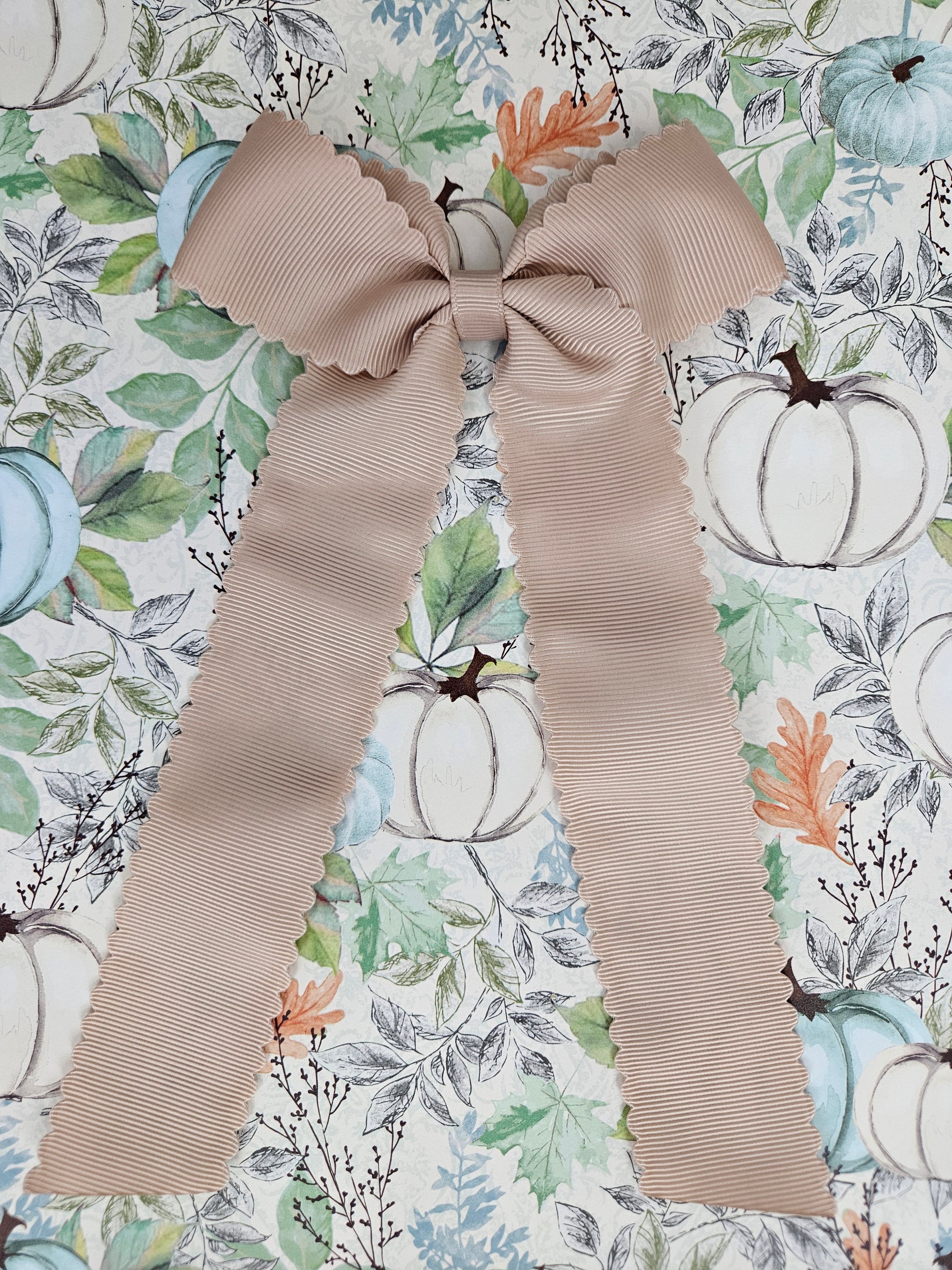 Scalloped Long Tail Oat Bow with Alligator Clip