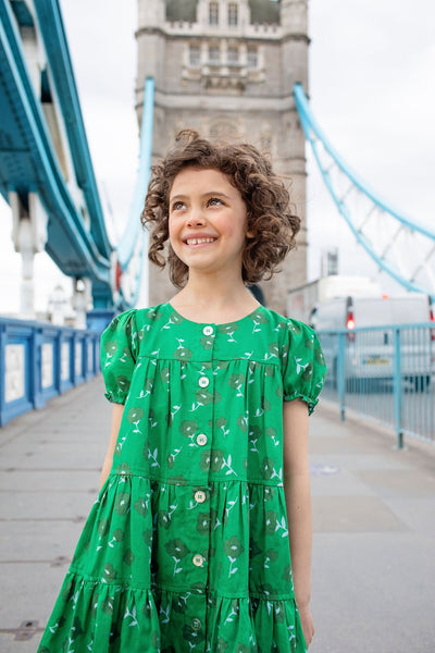 Pink Chicken Girls Elizabeth Dress - Green Flower Toss