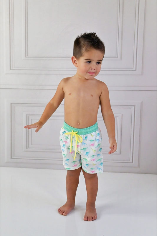 Swoon Baby Watercolor Dino Swim Shorts Style 23-59