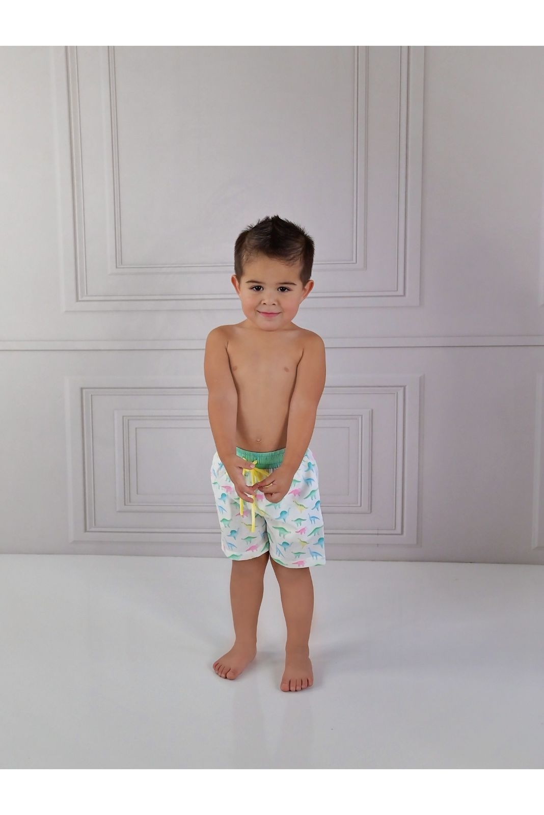 Swoon Baby Watercolor Dino Swim Shorts Style 23-59